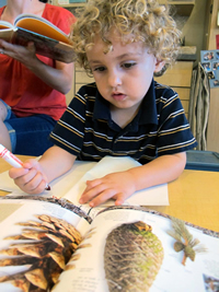 LEARN - Classroom